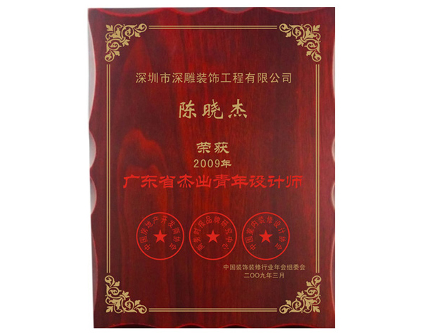 杰出青年设计师